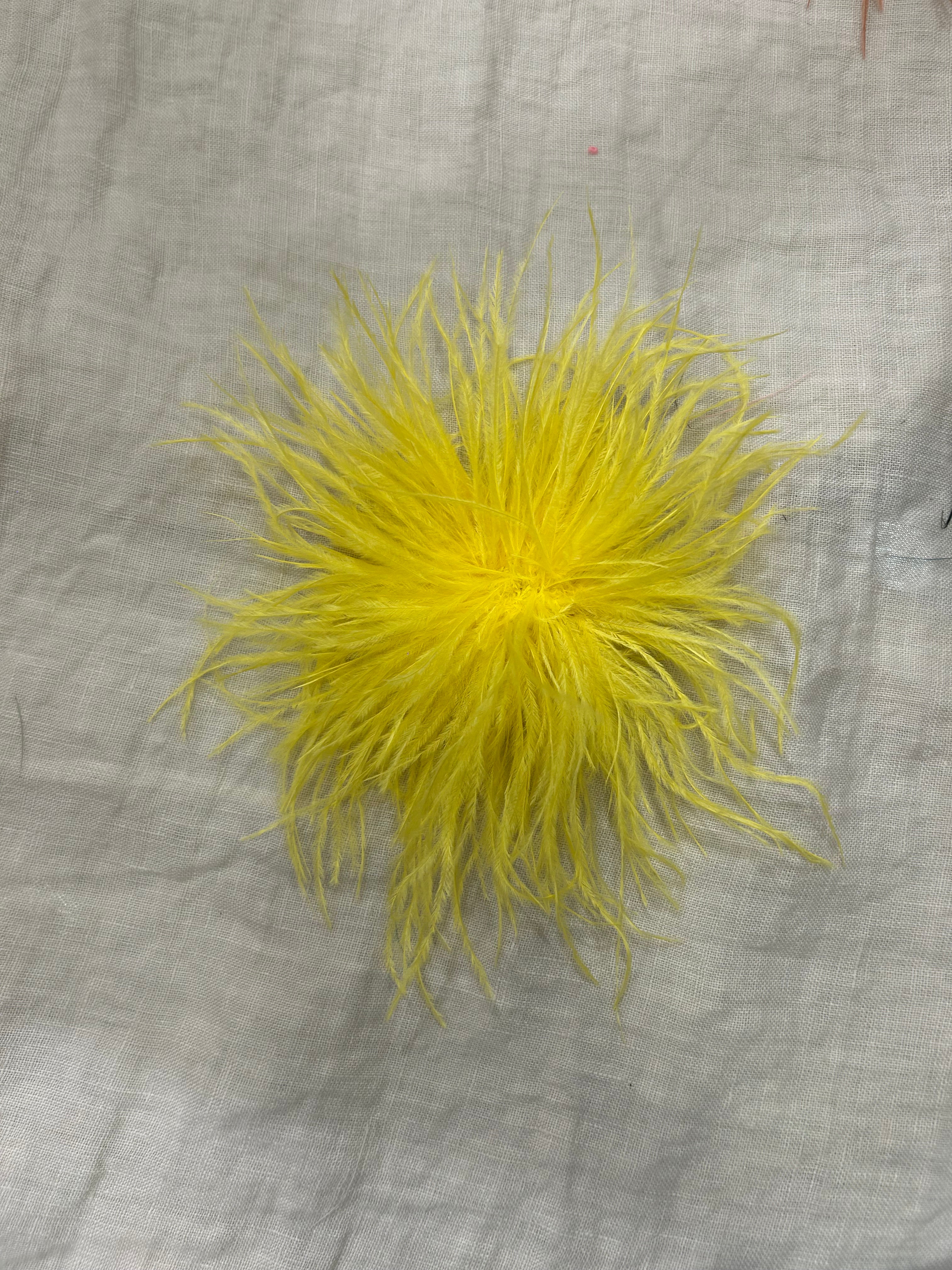 SPILLA RICCIO